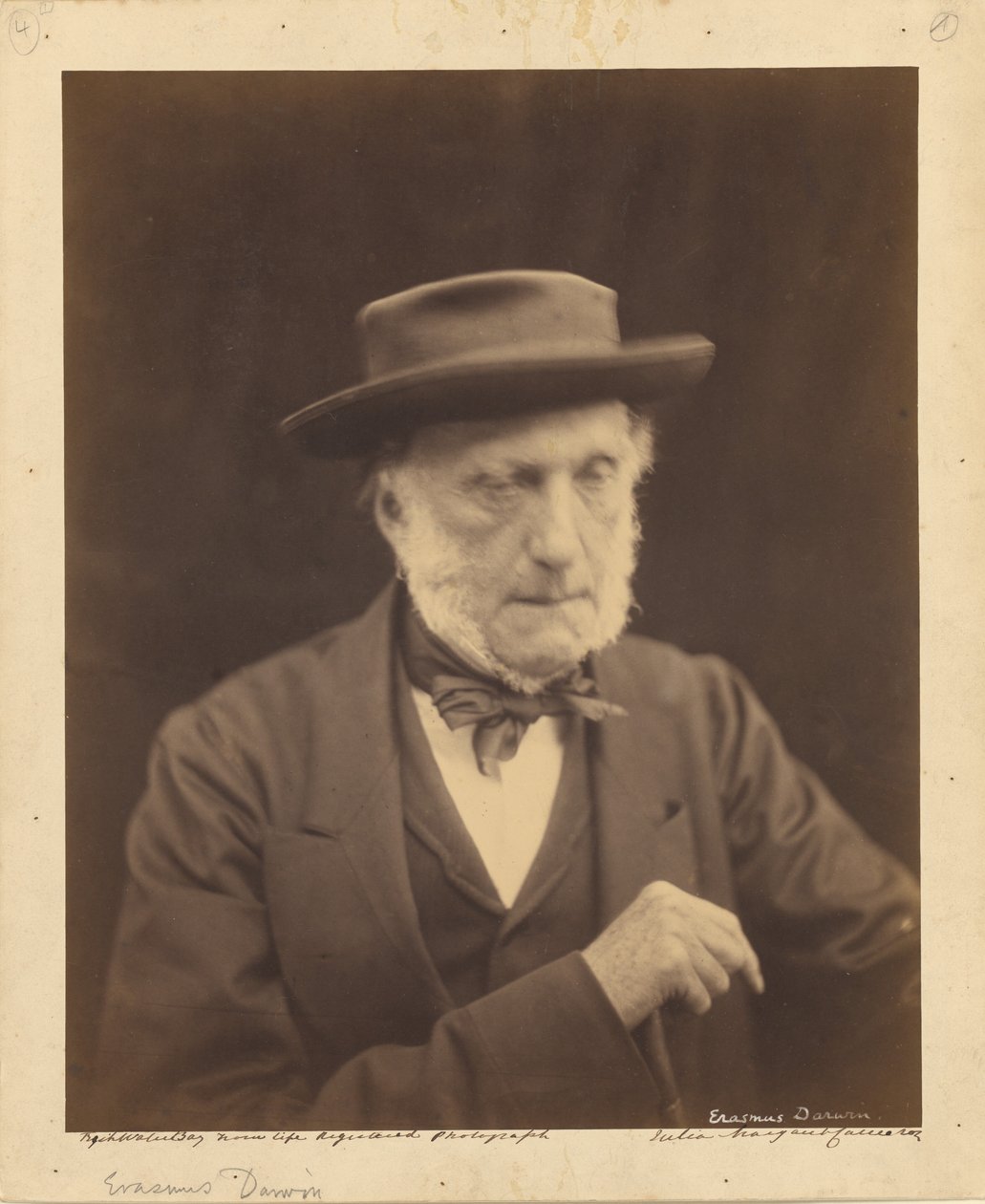 [Erasmus Darwin] tekijältä Julia Margaret Cameron