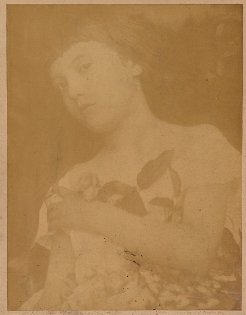 Firenze tekijältä Julia Margaret Cameron