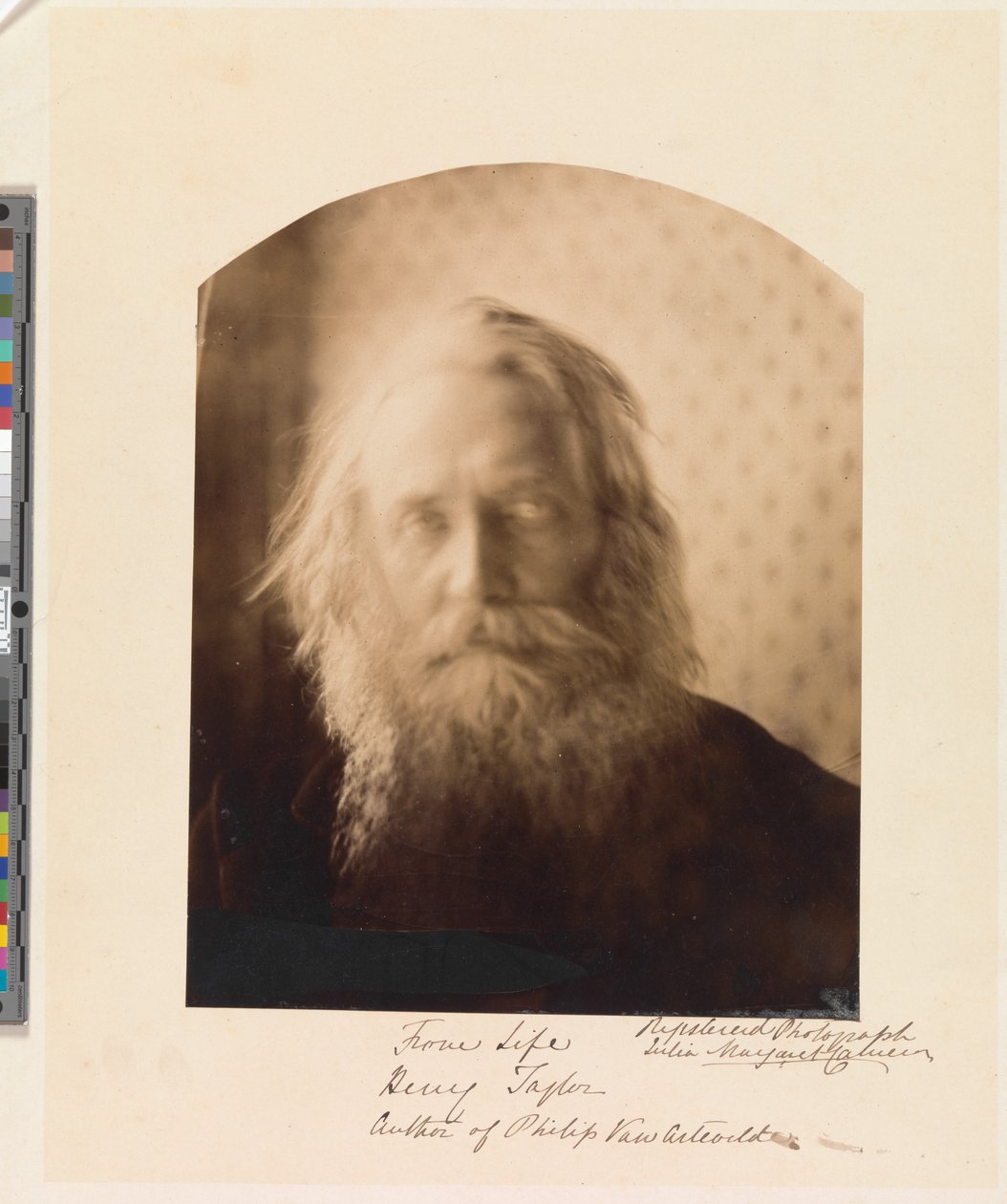 Henry Taylor. Teoksen ”Philip Van Artevelde” kirjoittaja tekijältä Julia Margaret Cameron