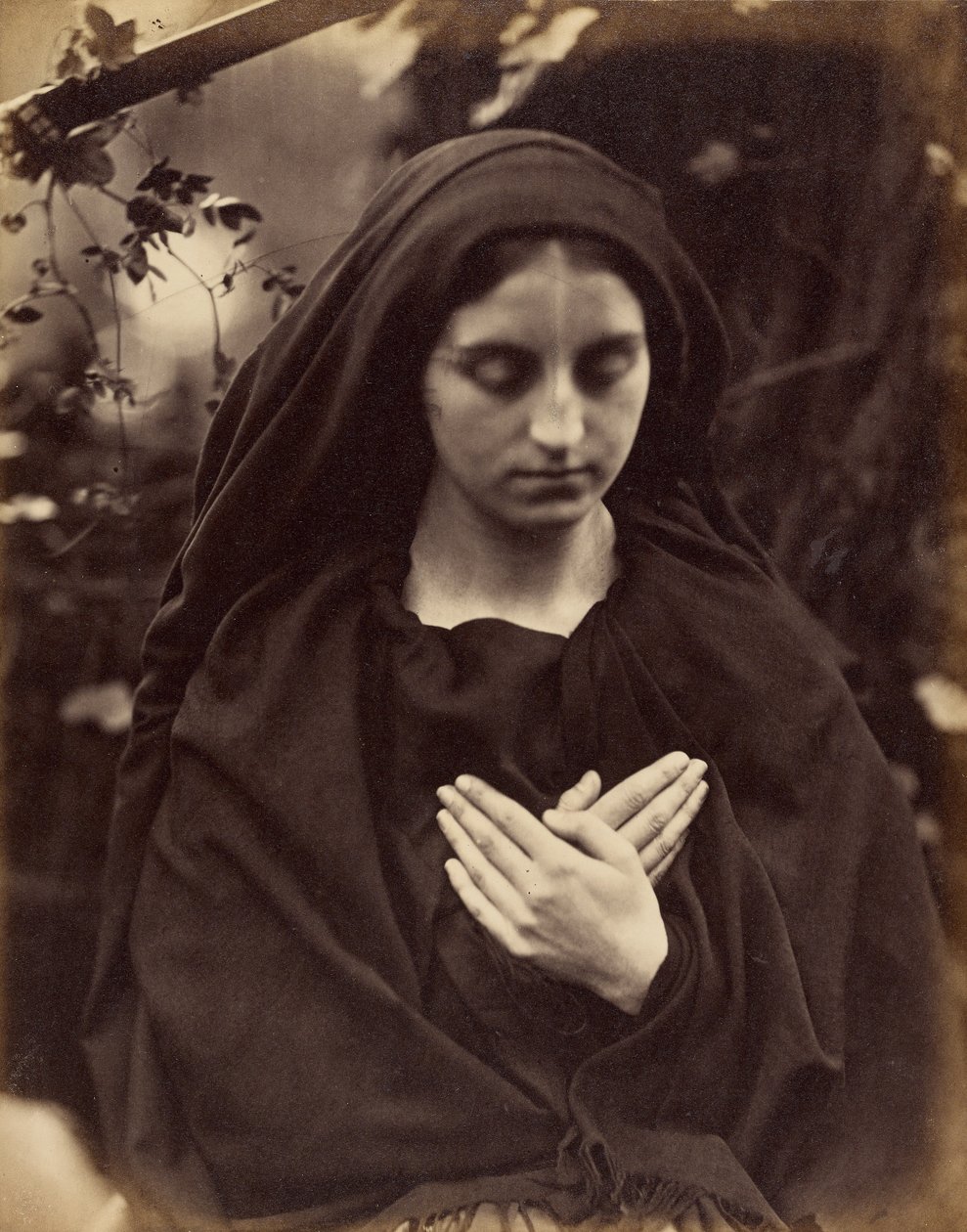 Il Penseroso tekijältä Julia Margaret Cameron