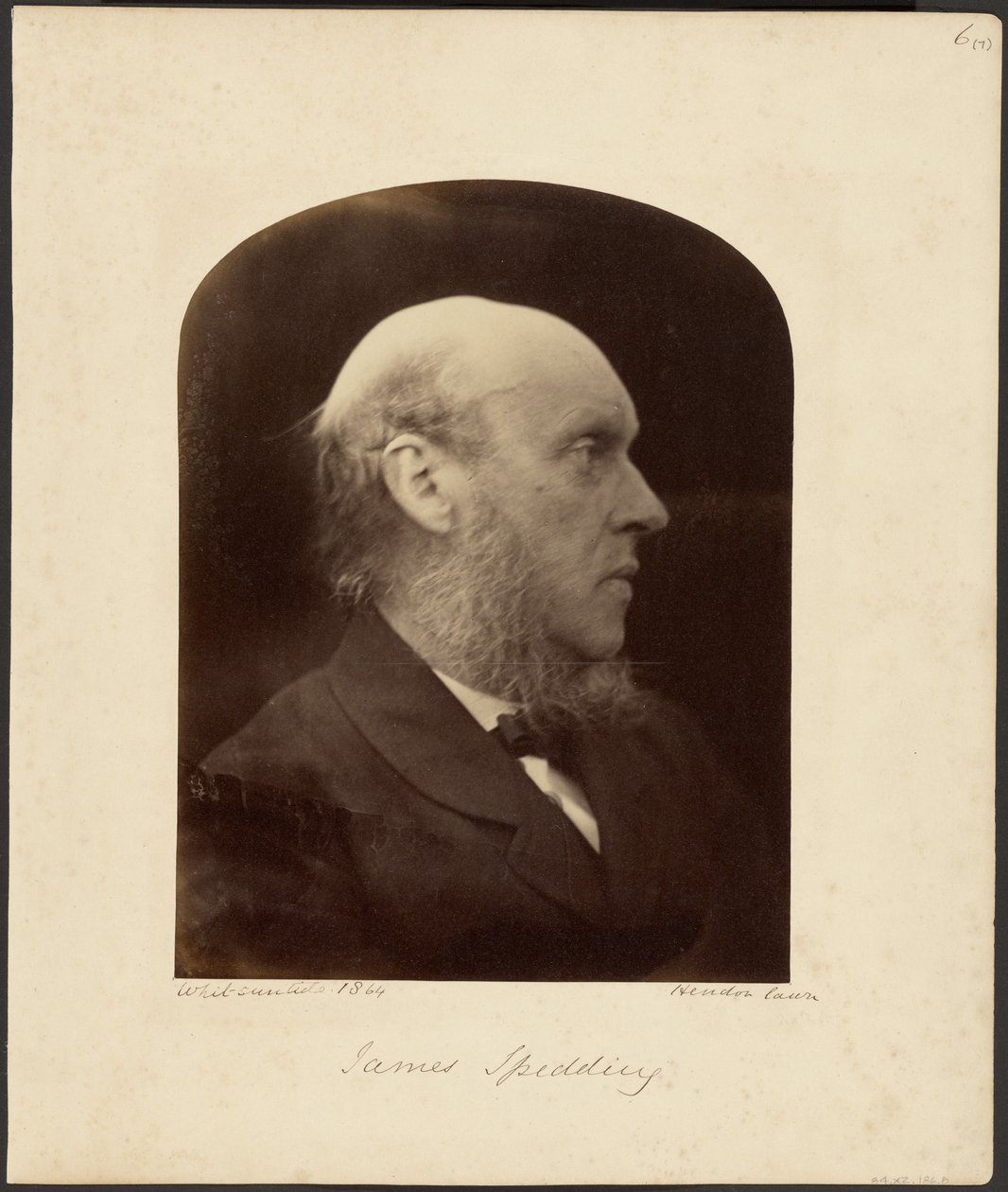 James Spedding tekijältä Julia Margaret Cameron