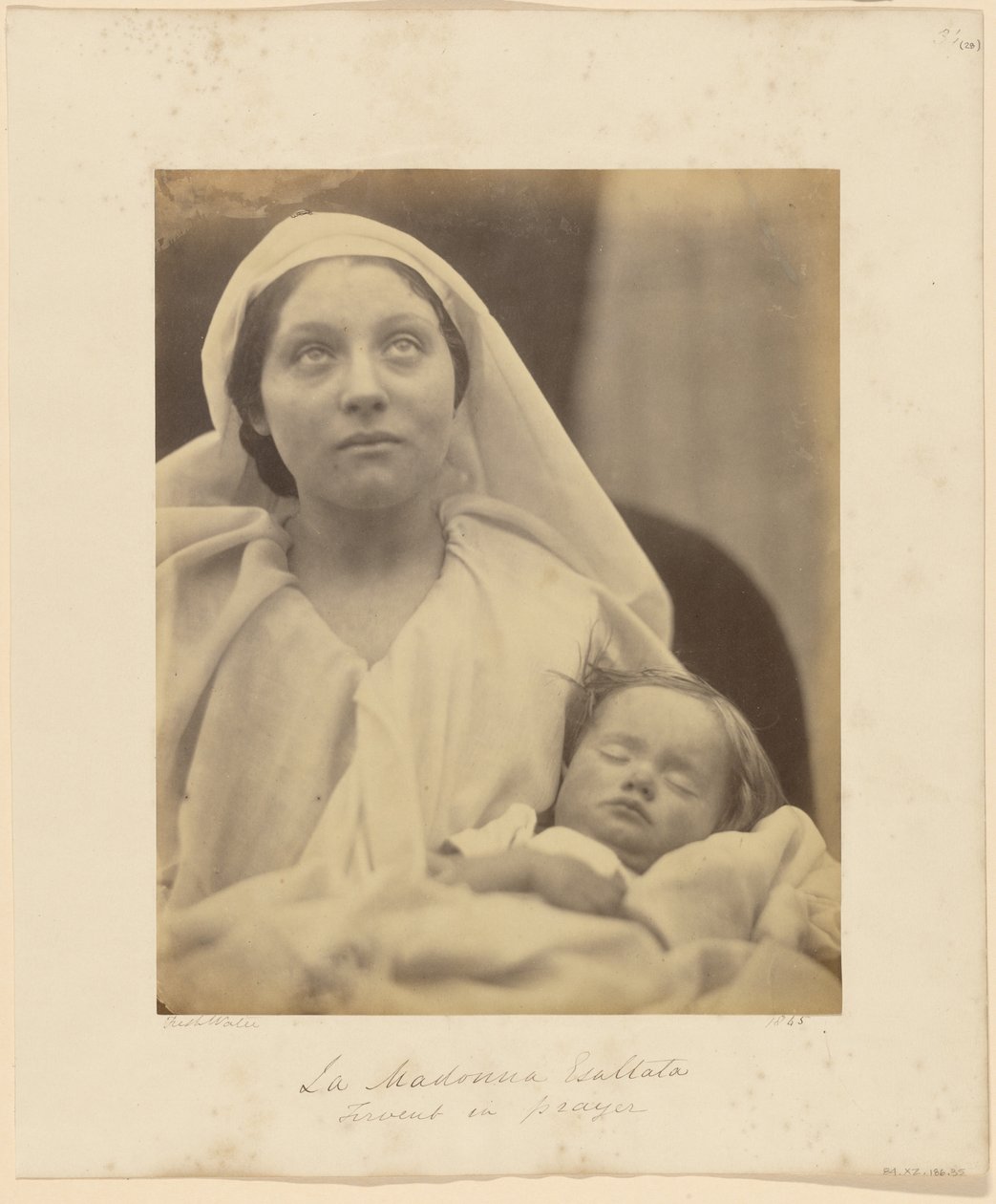 Korotettu Madonna tekijältä Julia Margaret Cameron