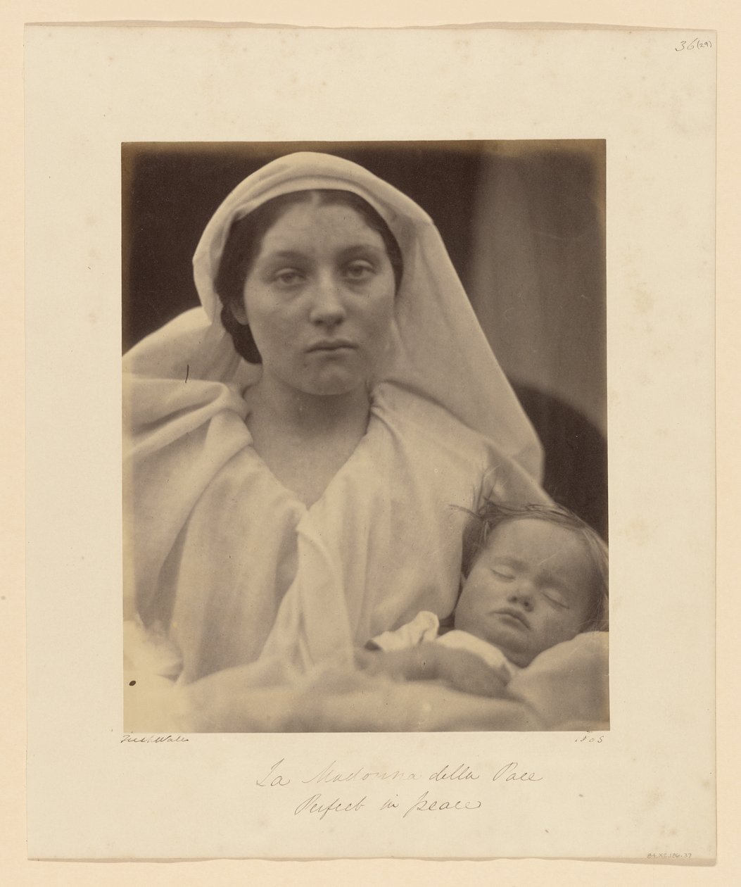 Rauhan nainen tekijältä Julia Margaret Cameron