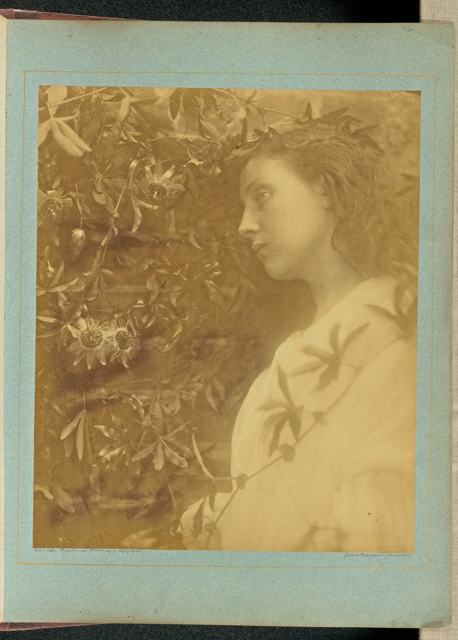 Maud: ”Upea kyynel on pudonnut” / ”Portin vieressä olevasta intohimon kukasta.” tekijältä Julia Margaret Cameron