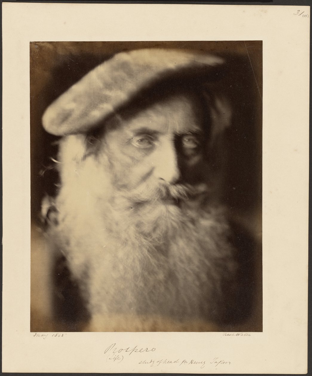 Vauraus tekijältä Julia Margaret Cameron