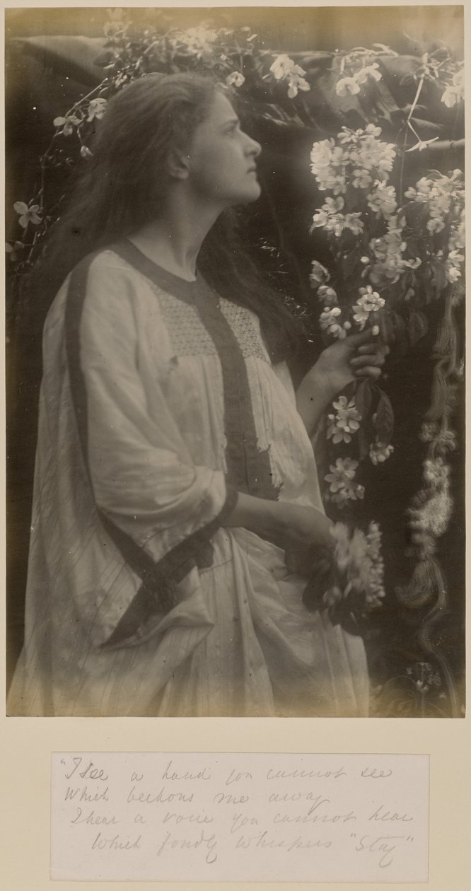 [Kevät] tekijältä Julia Margaret Cameron
