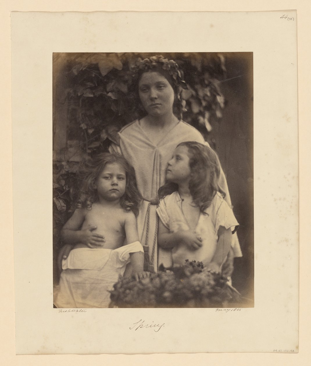 Kevät tekijältä Julia Margaret Cameron