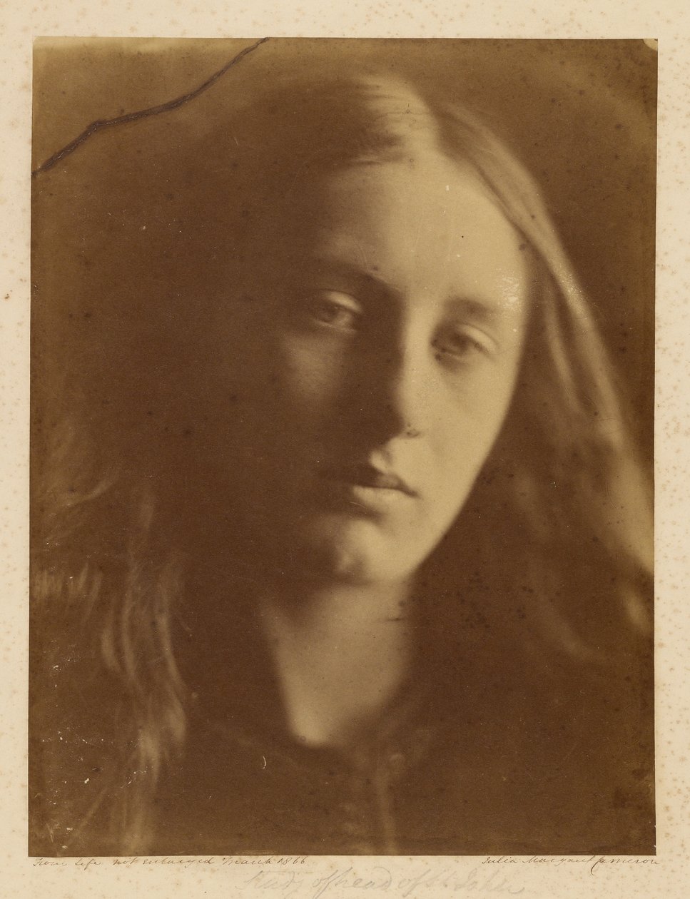 [Tutkimus Johanneksen pää] tekijältä Julia Margaret Cameron