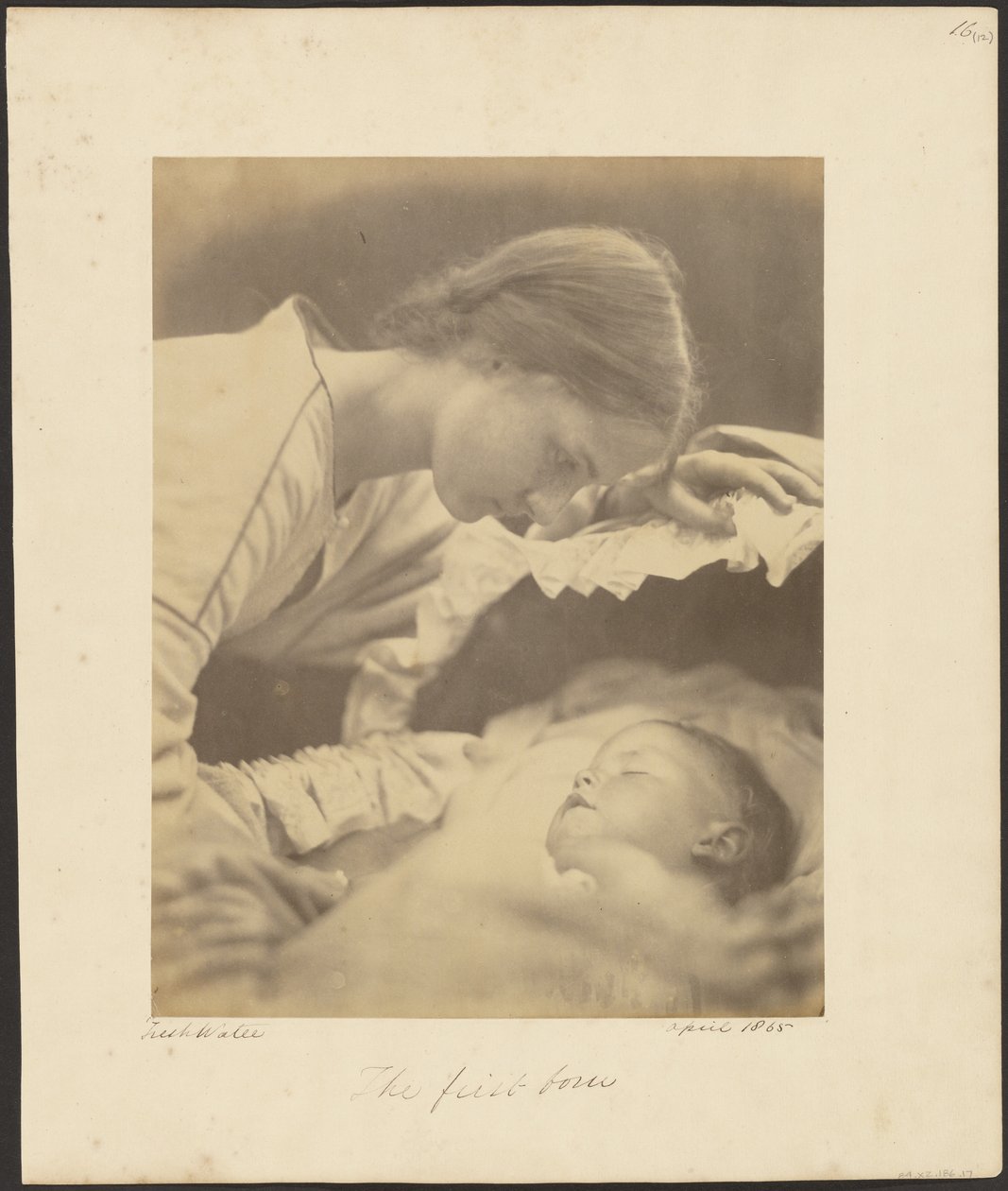 Esikoinen tekijältä Julia Margaret Cameron