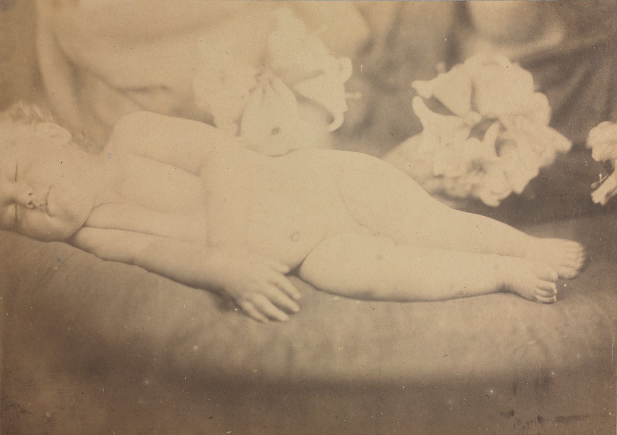 Lilja ja lammas tekijältä Julia Margaret Cameron
