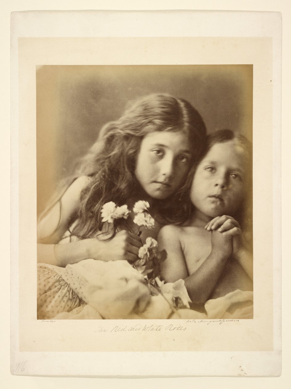Punaiset ja valkoiset ruusut tekijältä Julia Margaret Cameron