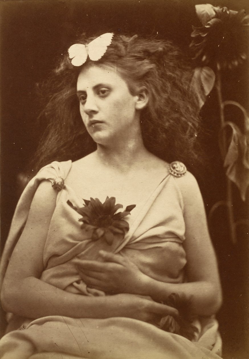 Auringonkukka tekijältä Julia Margaret Cameron