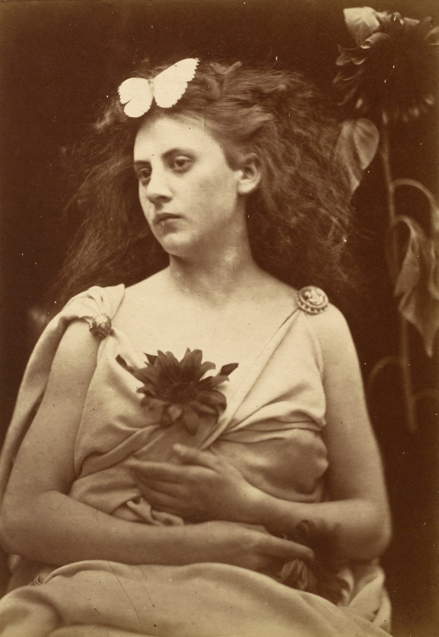 Auringonkukka, 1870-luvun alku. tekijältä Julia Margaret Cameron
