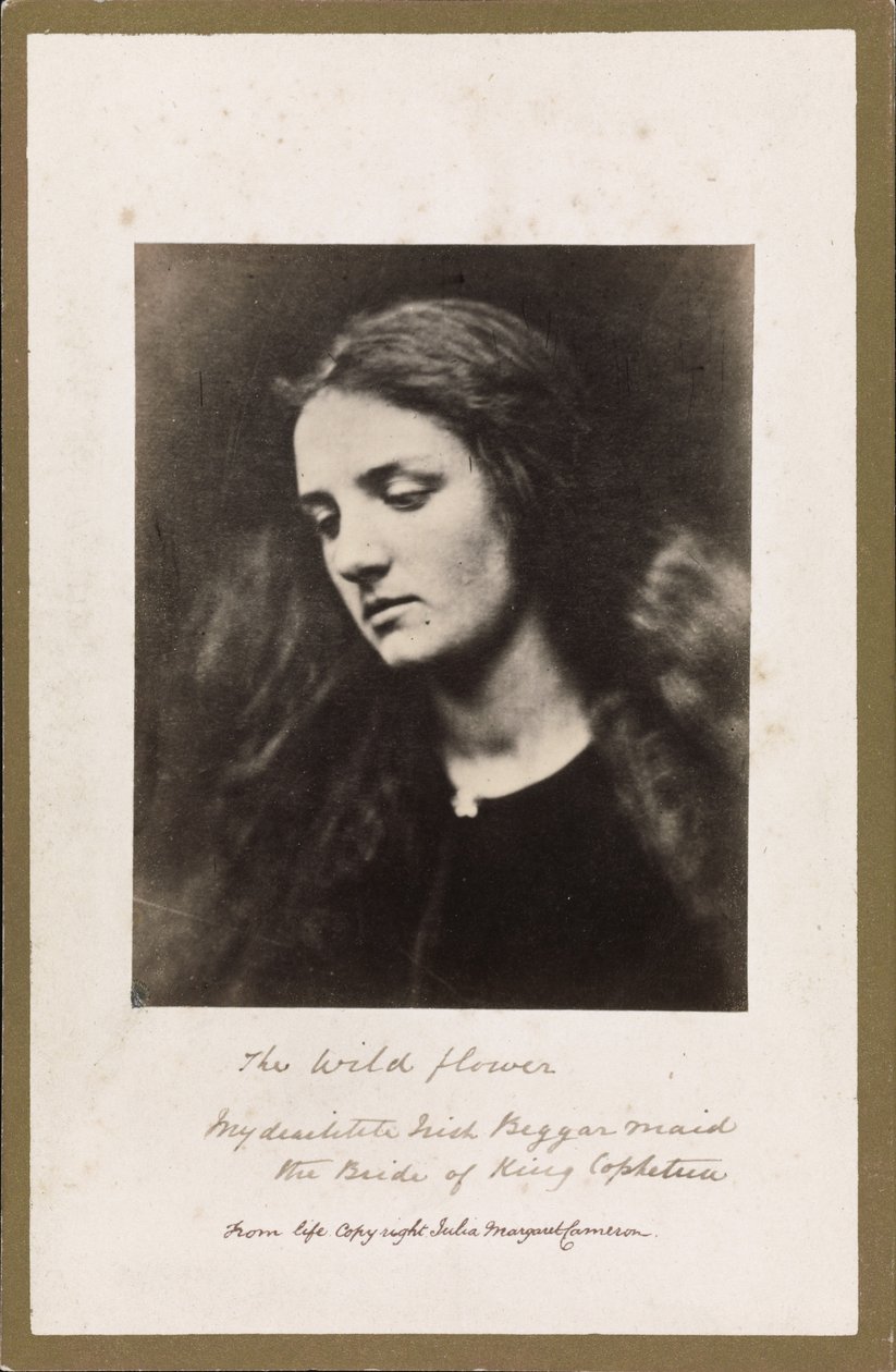 Villi Kukka tekijältä Julia Margaret Cameron