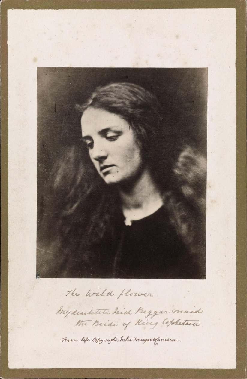 Villi kukka tekijältä Julia Margaret Cameron
