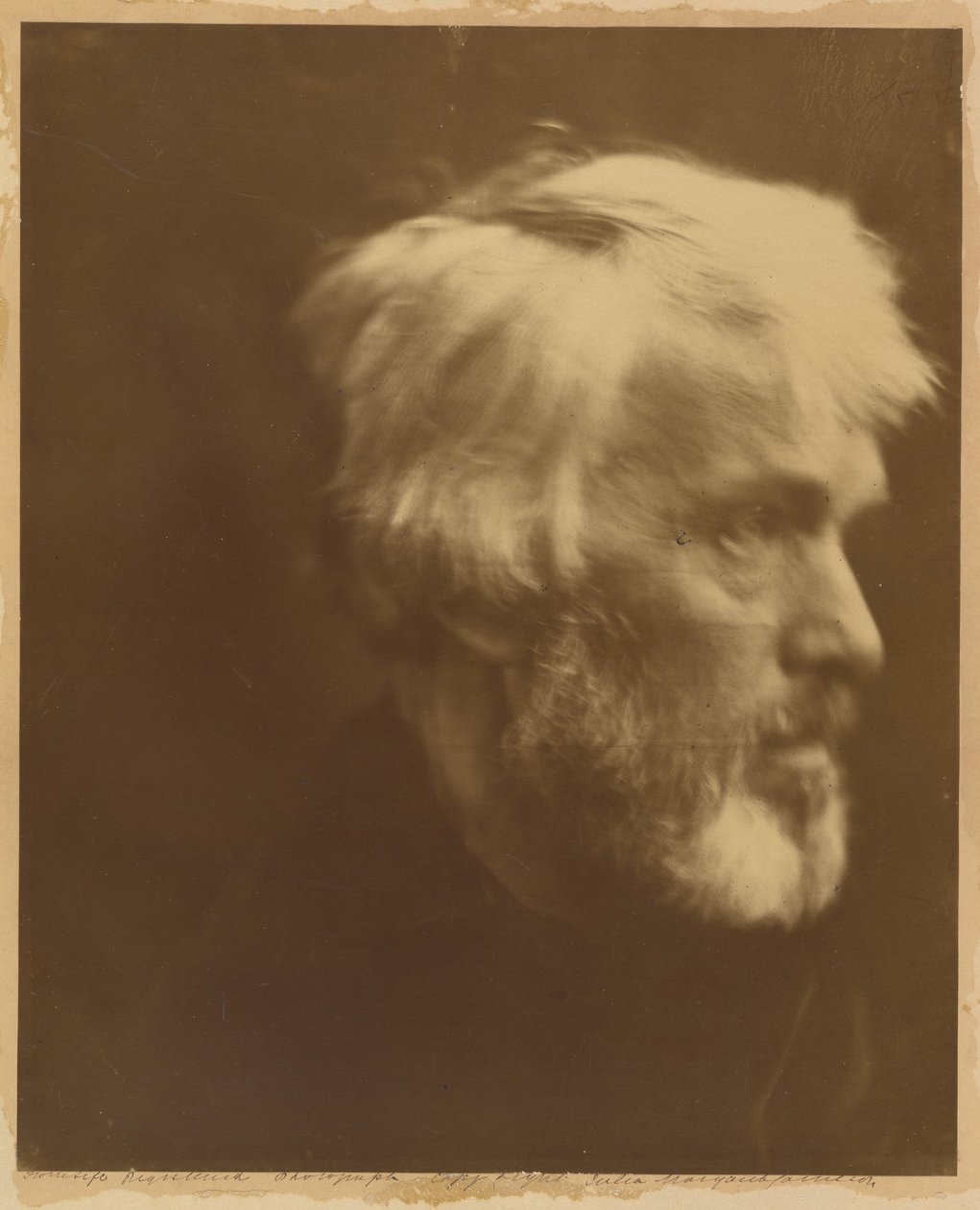 Thomas Carlyle tekijältä Julia Margaret Cameron
