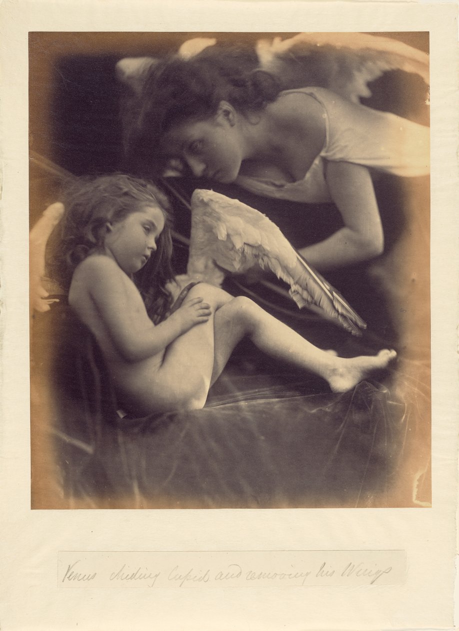 Venus kurittaa Amoria ja poistaa hänen siipensä tekijältä Julia Margaret Cameron