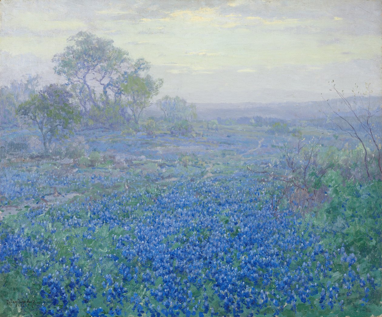 Pilvinen päivä, Bluebonnets lähellä San Antonio, Texas tekijältä Julian Onderdonk