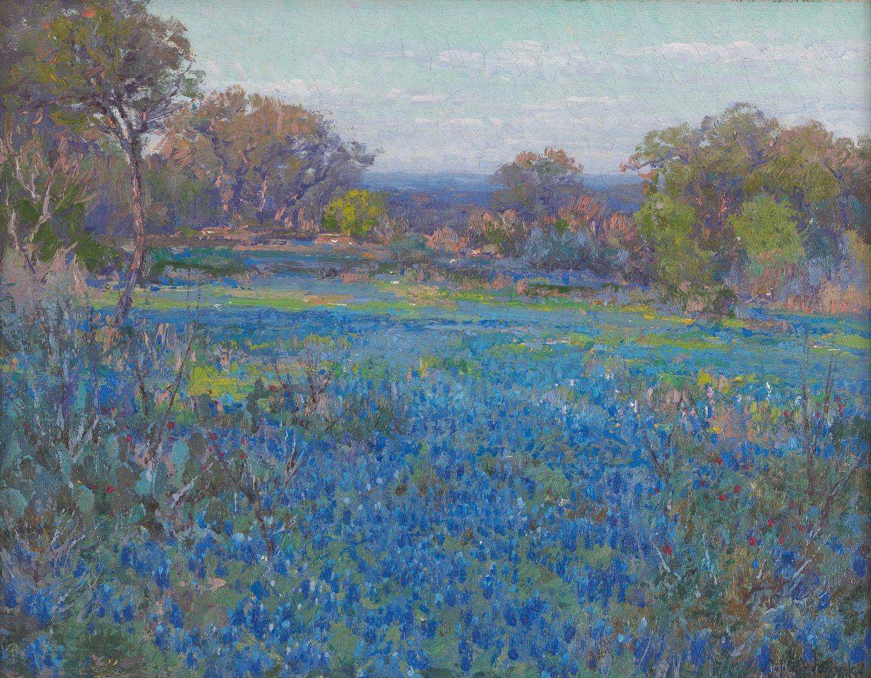 Sinisten konepellien kenttä, myöhään iltapäivällä auringonvalo tekijältä Julian Onderdonk