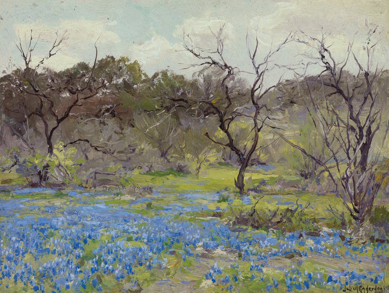 Alkukevään sinivuokkoja ja mesquitea, 1919 tekijältä Julian Onderdonk