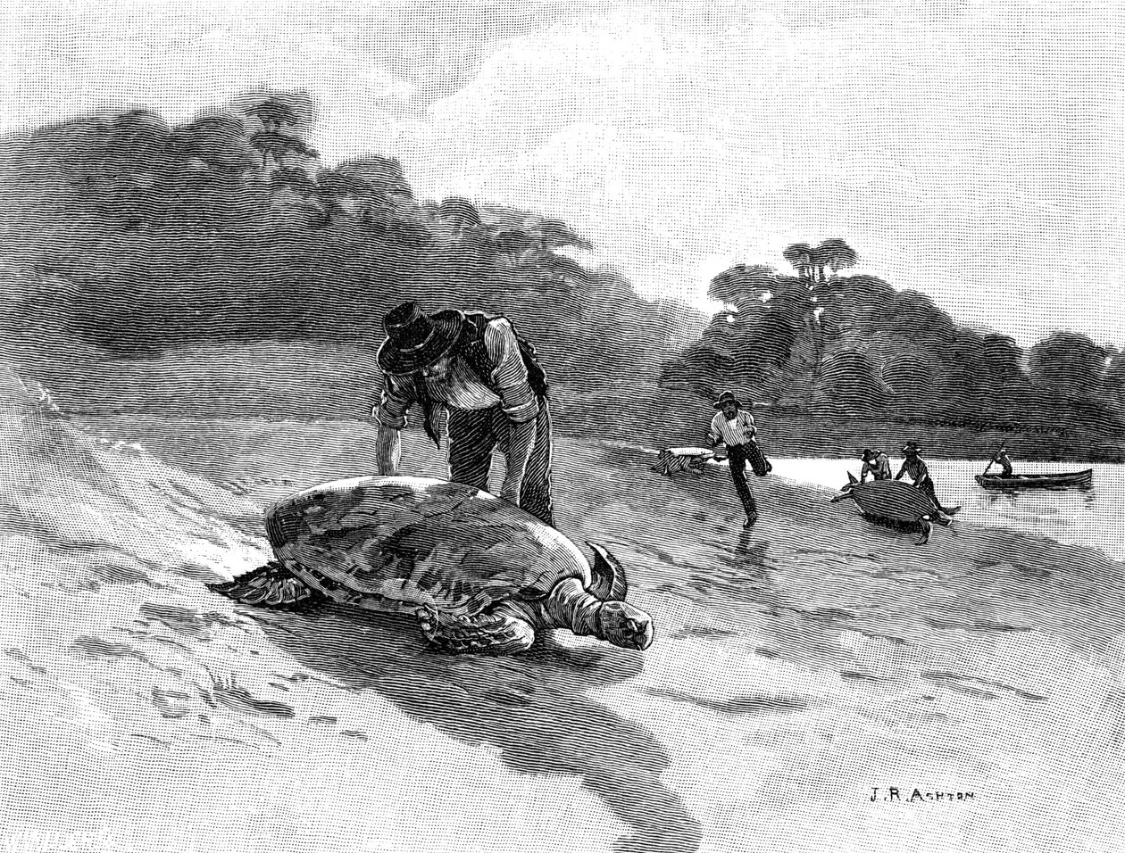 Kilpikonnanpyynti, 1886. tekijältä Julian Ashton