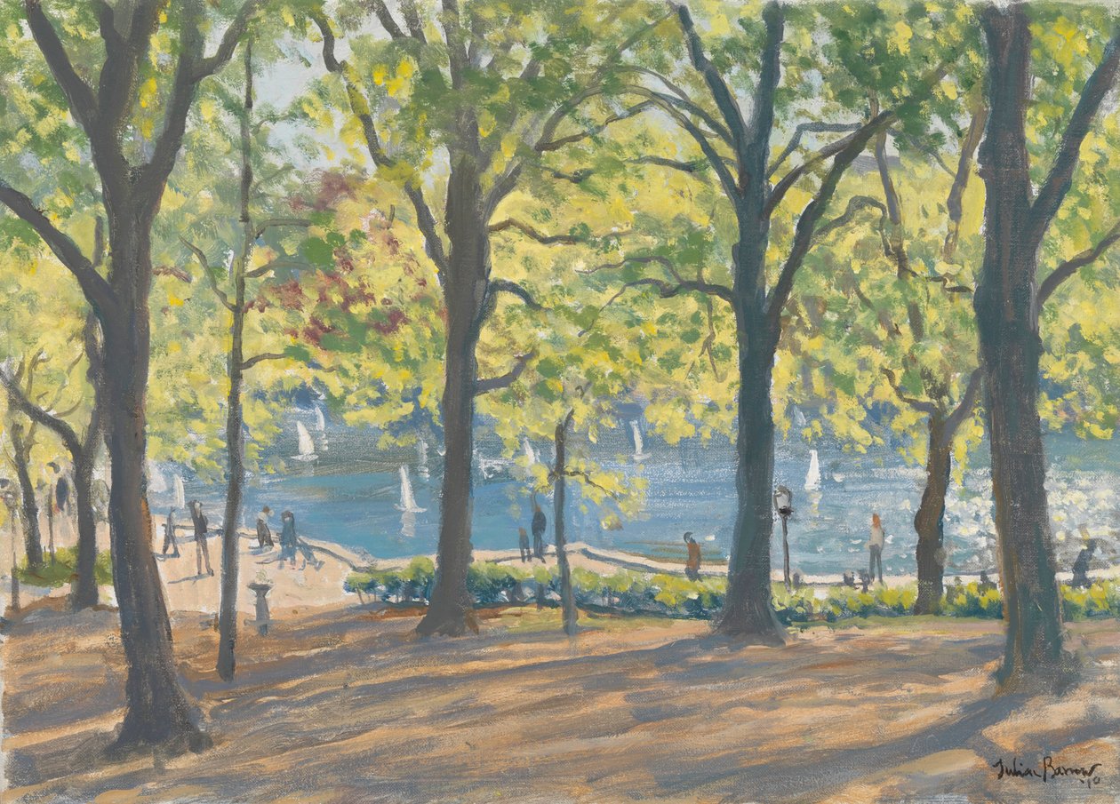 Central Park, New York, 2010 tekijältä Julian Barrow