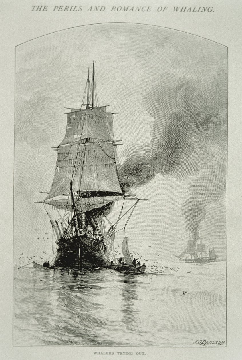 "Whalers Trying Out" (kaivertaa valaan ja nostaa sen lihaa kyytiin), "The Perils and Romance of Whaling" -julkaisussa Century Magazine, elokuu 1890 (kaiverrus) tekijältä Julian Oliver Davidson