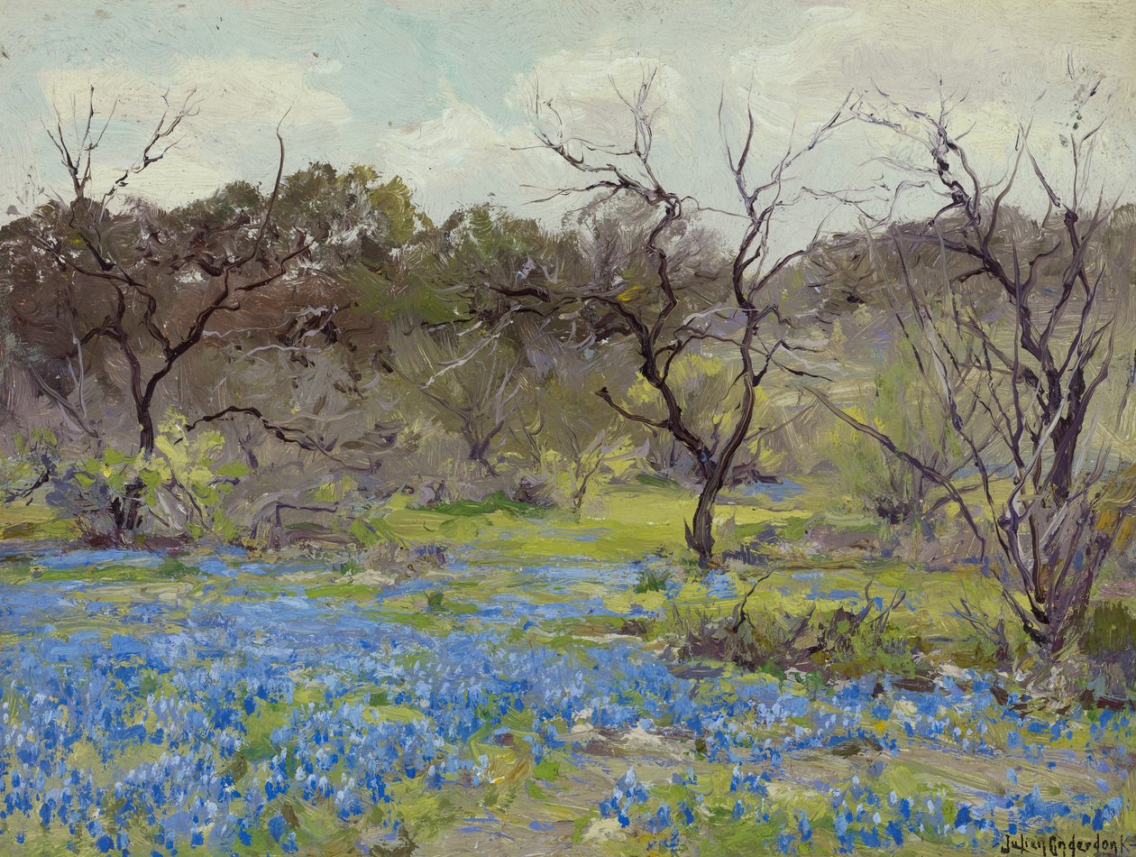 Varhaiskevät-Bluebonnets ja Mesquite tekijältä Julian Onderdonk