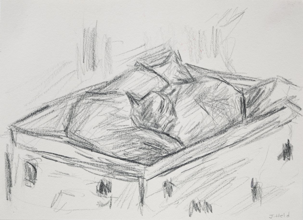 Cats Nestling, 2015 (lyijykynä) tekijältä Julie Held