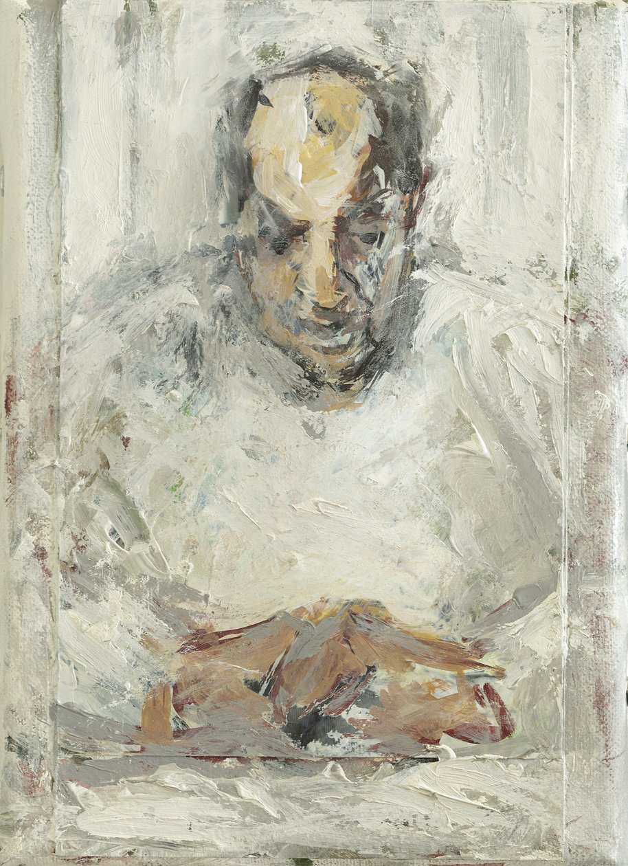 The Convalescent, 2014, tekijältä Julie Held