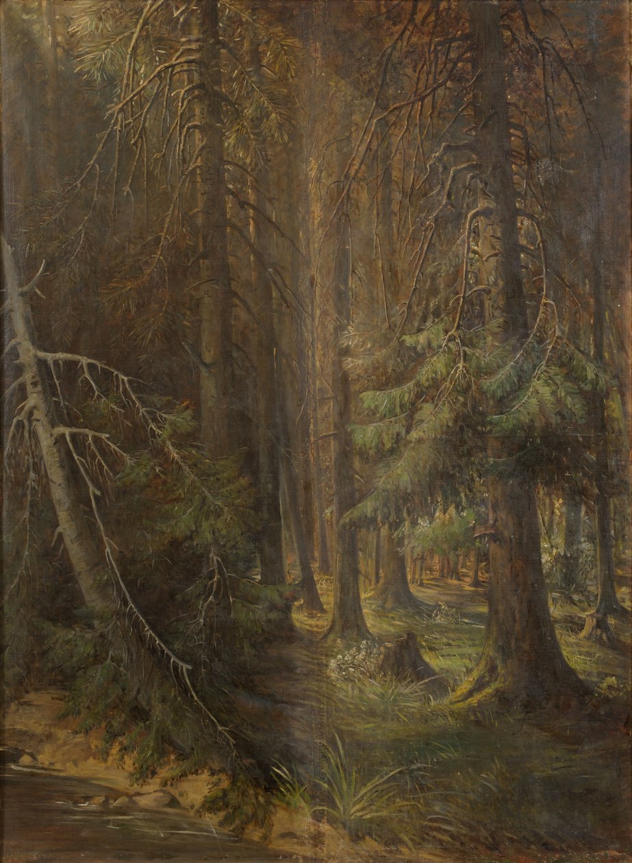 Forest tekijältä Julie Wilhelmine Hagen Schwarz