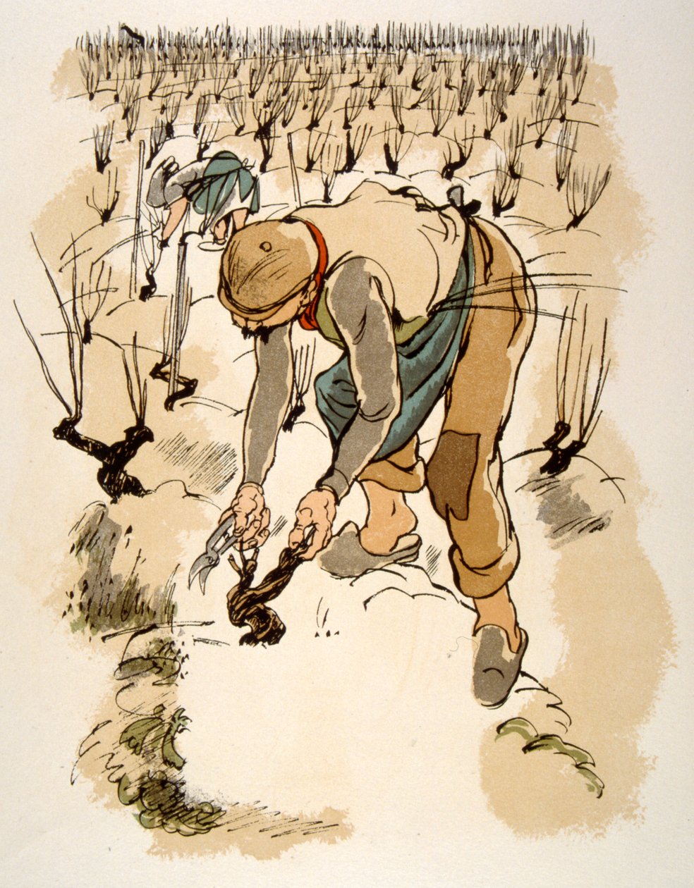Humoristinen viinikuvitus 1946. Kuvitus Julien Pavil tekijältä Julien Pavil