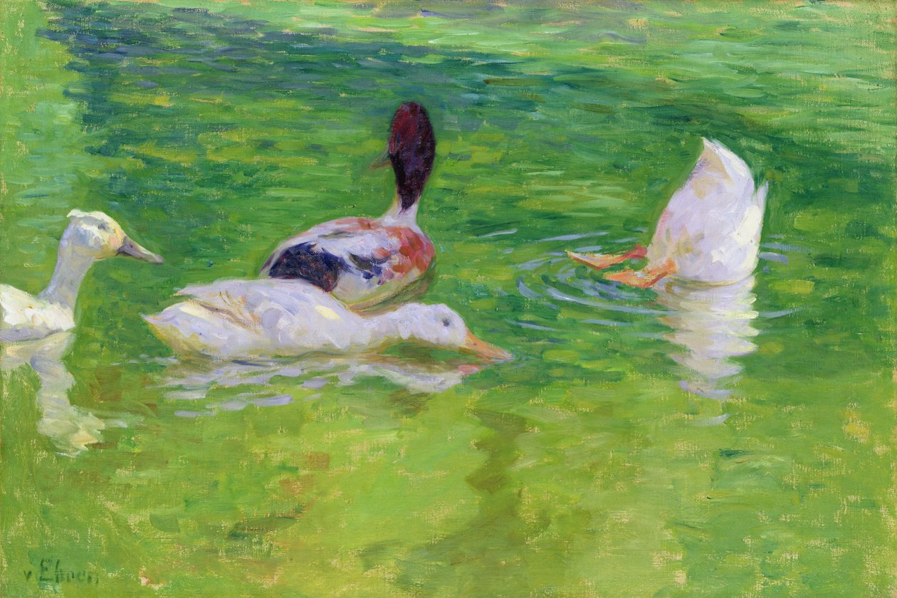 Ankat, n. 1897 tekijältä Julius August Friedrich Theodor von Ehren