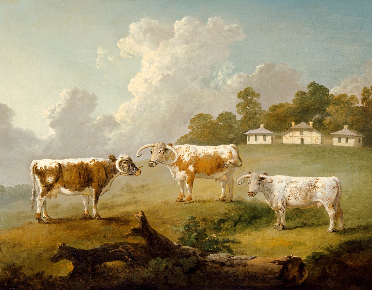 "Three Long-horned Cattle at Kenwood", 1797 tekijältä Julius Caesar Ibbetson