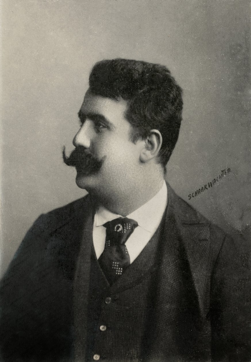  tekijältä Julius Cornelius Schaarwachter