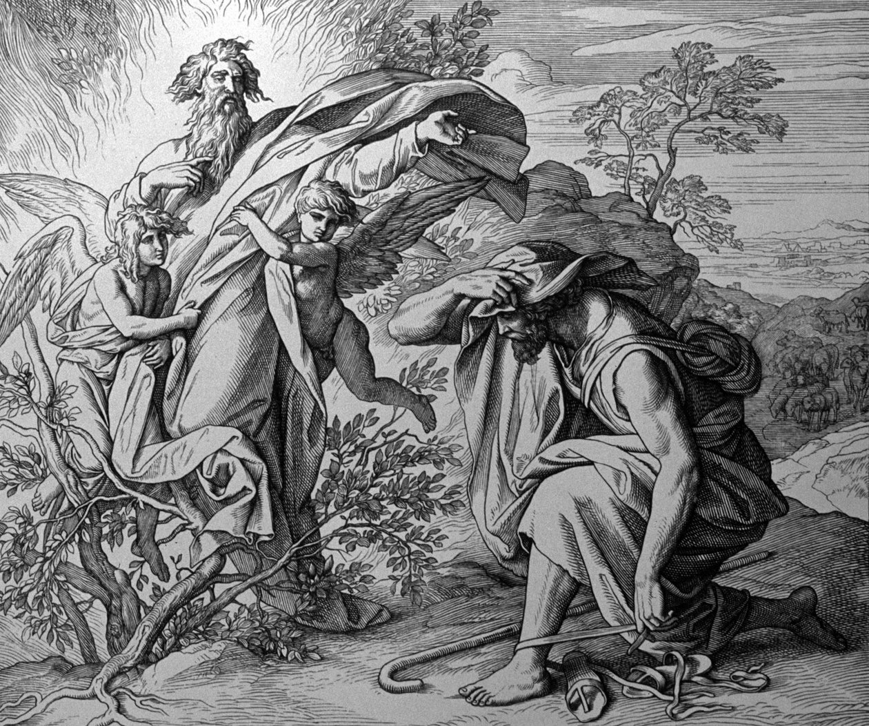 Palava pensas tekijältä Julius Schnorr von Carolsfeld