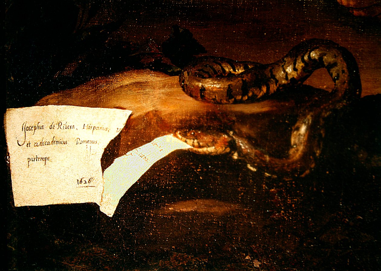 Yksityiskohta Drunken Silenuksesta, 1626 (yksityiskohta 434192) tekijältä Jusepe de Ribera
