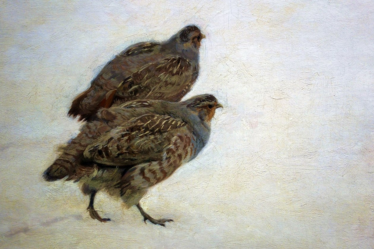 Partridges tekijältä Józef Chełmoński