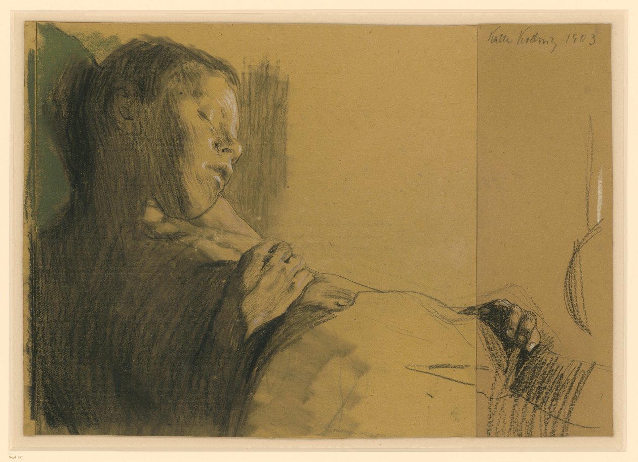 Schlafender Knabe (Das tote Kind) tekijältä Käthe Kollwitz