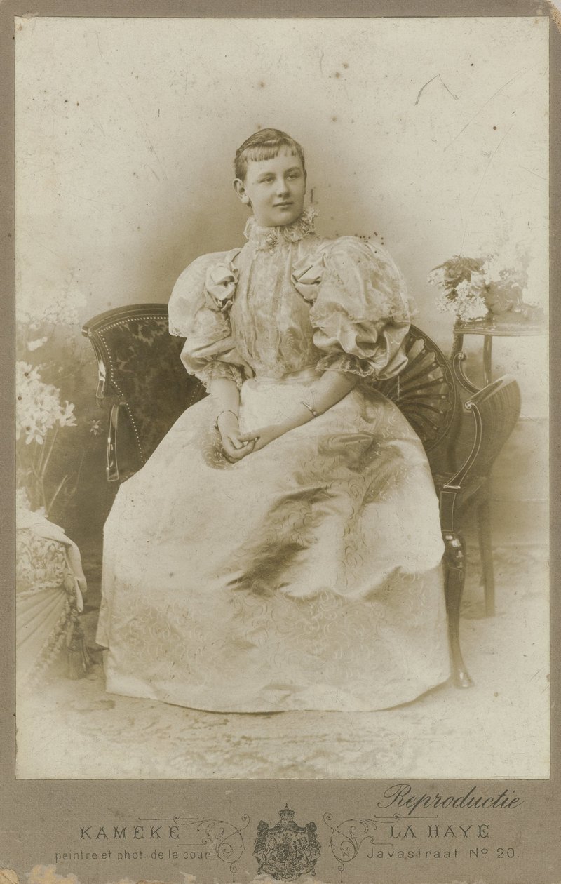 Wilhelmina tekijältä Kameke