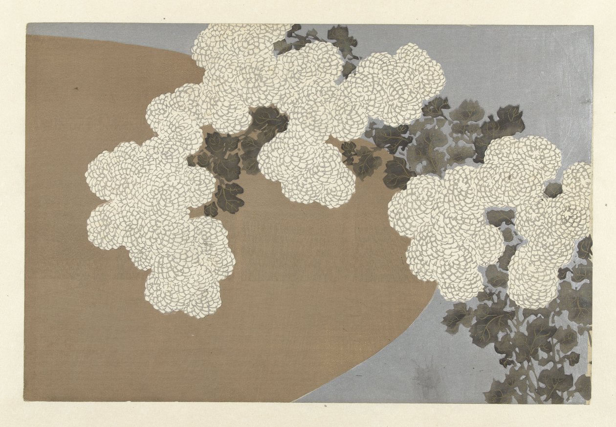 Krysanteemit, 1909 (puupainatus) tekijältä Kamisaka Sekka
