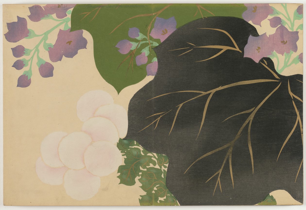 Sadan maailman kukat (Momoyogusa): Chrysanthemum ja Paulownia (Kikukiri) tekijältä Kamisaka Sekka