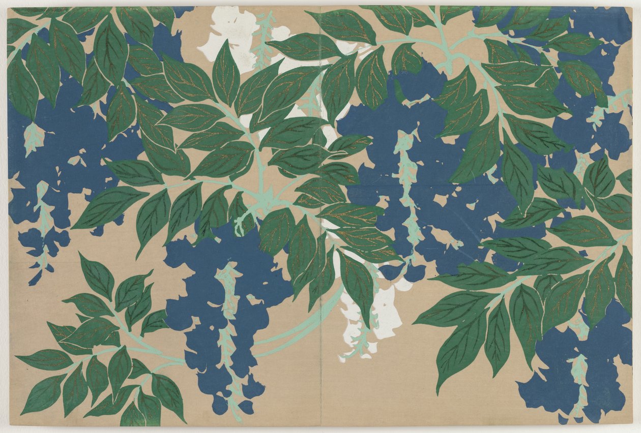 Sadan maailman kukat (Momoyogusa): Wisteria (Fuji) tekijältä Kamisaka Sekka