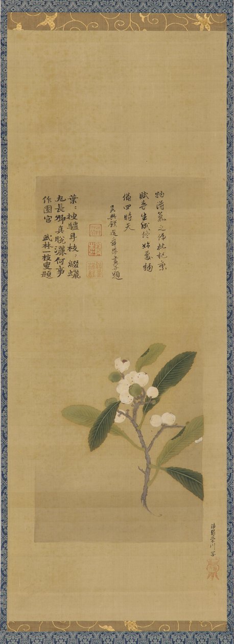 Loquattien haara, Edo-kausi, 1700-luku. tekijältä Kanô Eisen
