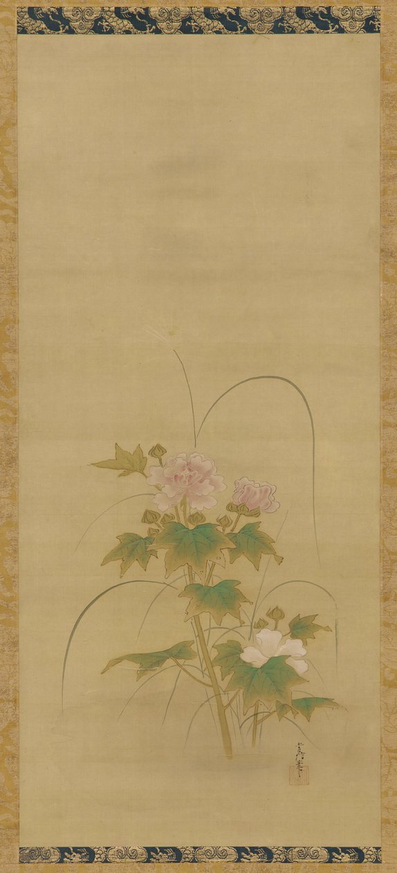 Hibiscus osa settiä, Edo-kausi, 1600-luvun puoliväli - 1700-luvun alku. tekijältä Kanô Yôboku Tsunenobu