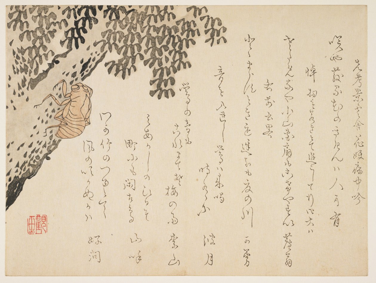 Cicadan kuori, n. 1848-53 (värillinen puupainatus) tekijältä Kangyoku Hgan