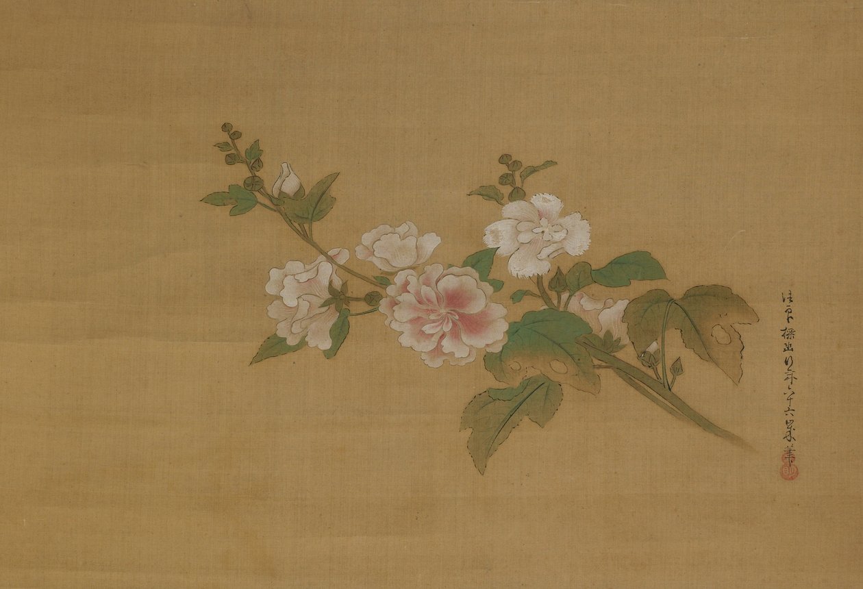 Kukkivan hibiskuksen oksa, Edo Period (väri silkillä) tekijältä Kanō Tan’yū