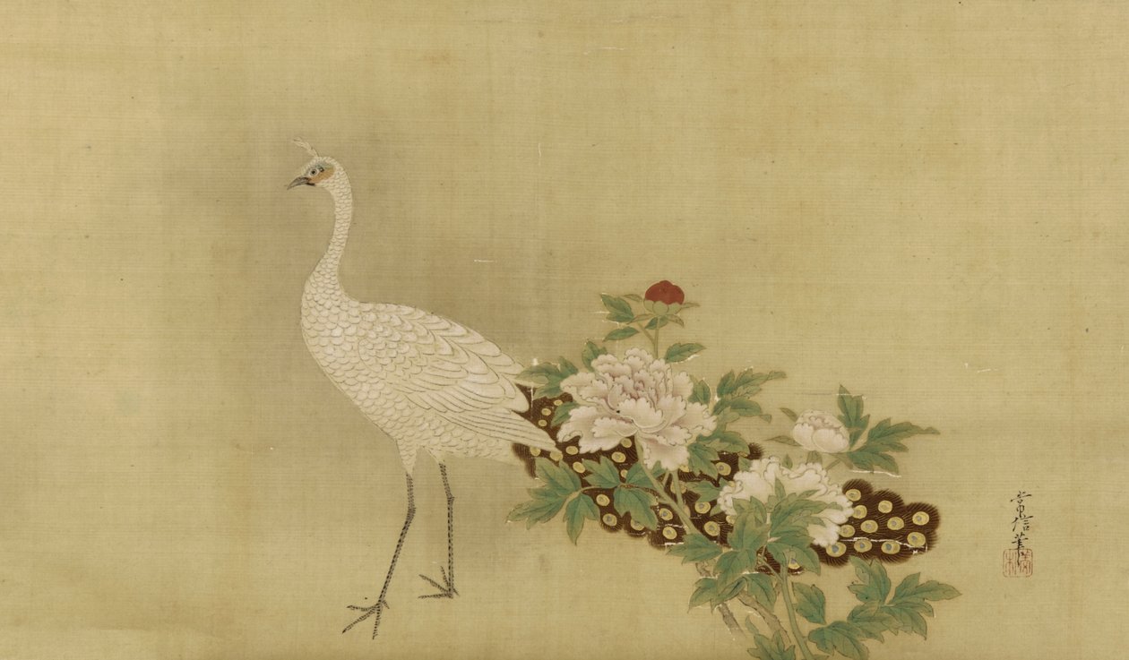 Valkoinen riikinkukko ja pionit, Edo-kausi, 1600-luvun puoliväli - 1700-luvun alku (mustetta, väriä ja kultaa silkillä) tekijältä Kano Tsunenobu