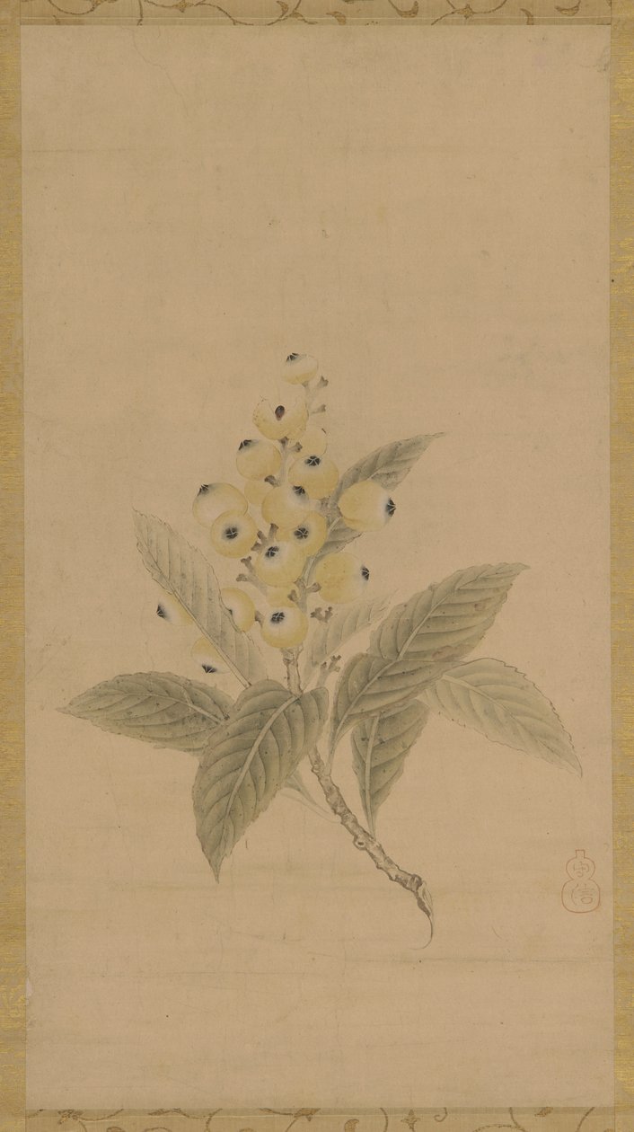 Mispelien haara, Edo-kausi, 1600-luku. tekijältä Kanō Tan’yū