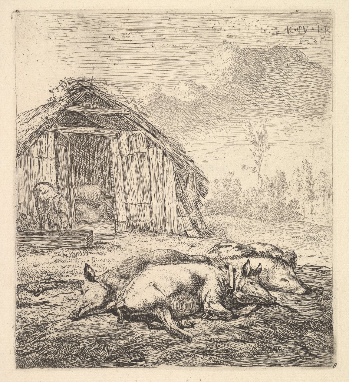 Kolme sikaa kyljellään, sikala ja kaukalo takana, 1652. tekijältä Karel Du Jardin